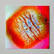 Load image into Gallery viewer, Mama told ya - "Nothing stands still" LP - 12" Vinyl - MTY013