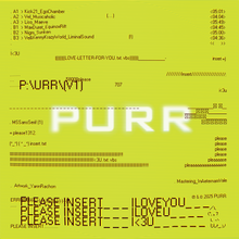 Load image into Gallery viewer, Limited Edition 12" Vinyl Purr "pleaseinsert_ILOVEYOU"