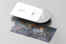 Load image into Gallery viewer, Mama told ya - « L’eau repousse les feux agressifs » - Limited compilation - 4 x 12" x Crystal clear vinyls