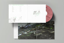 Load image into Gallery viewer, “Contre tout, toutes et tous, la terre demeure”