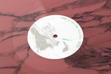 Load image into Gallery viewer, “Contre tout, toutes et tous, la terre demeure”