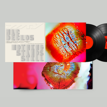 Load image into Gallery viewer, Mama told ya - &quot;Nothing stands still&quot; LP - 12&quot; Vinyl - MTY013
